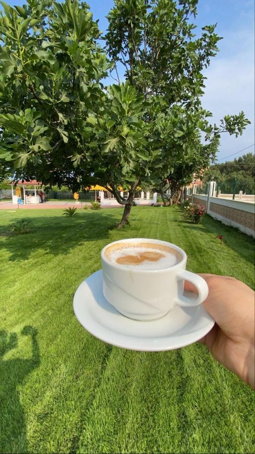 Dream Town Hotel&restaurant 3* Кемер